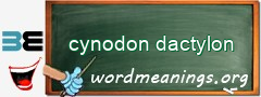 WordMeaning blackboard for cynodon dactylon
